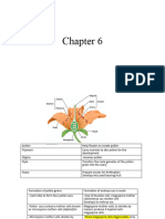 Chapter 6 Biology