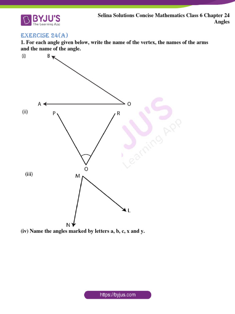 Class 6 Angles Solutions Guide | PDF | Angle | Trigonometry