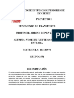 Proyecto 1 Fenomenos de Transporte YISE