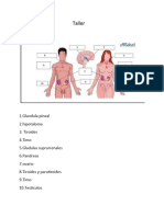 Prueba