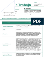 FICHA DE TRABAJO- SABANA HUMEDA CON PALMERAS