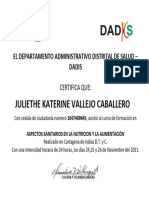 Diploma DADIS (1)