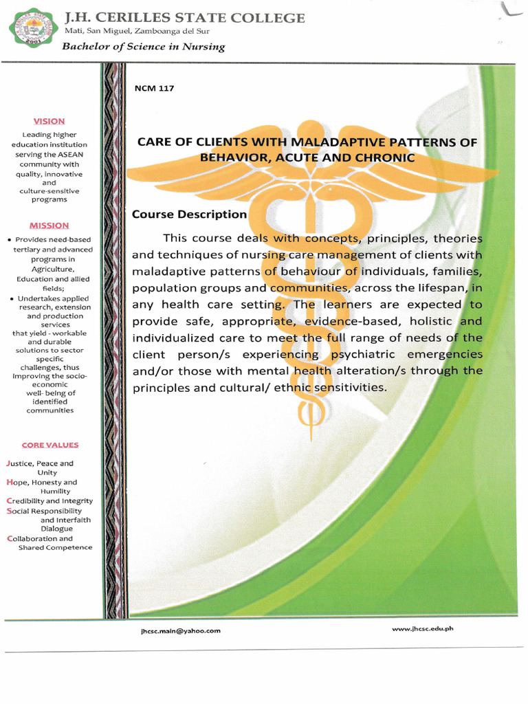Care for Clients with Maladaptive Behaviors | PDF | Psychotherapy ...