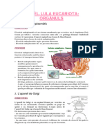 Apunts biologia tercer trimestre[1]