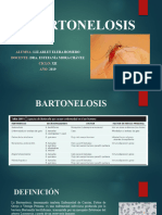 BARTONELOSIS