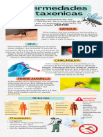 Infografia Enfermedades Metaxenicas