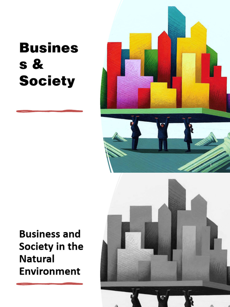 NMIMS Business and Natural Environment | PDF | Sustainability | Externality