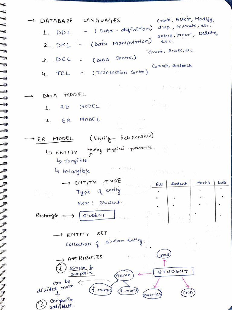 DBMS Notes - Sahil Choudhary | PDF | Data Model | Computing