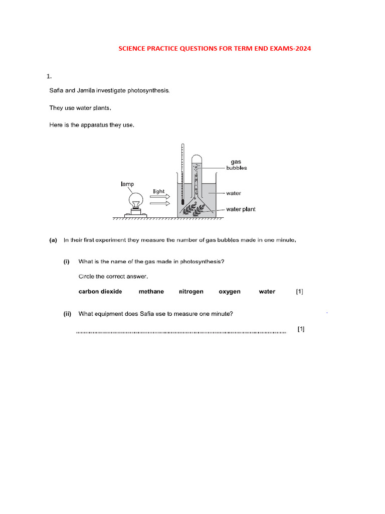 Science Practice Questions For Term End Exams 2024 | PDF