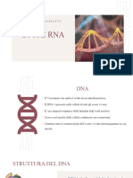 Dna E Rna: Eleonora Lacquaniti