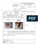 Lembar Deskripsi FOSIL-1