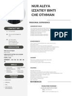 Professional CV Resume