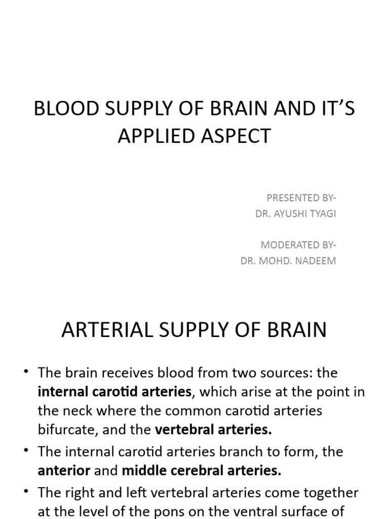 Blood Supply of Brain | PDF | Spinal Cord | Vein
