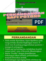 Perkandangan Sapi Potong