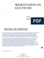 Dengue Fever4