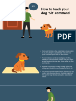 Training Guide - Sit Command