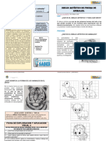 4 FICHA INFORMATIVA 4° Sec