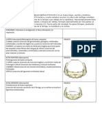 Documento PDF