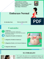 t12. Embarazo Normal Diagnosticos