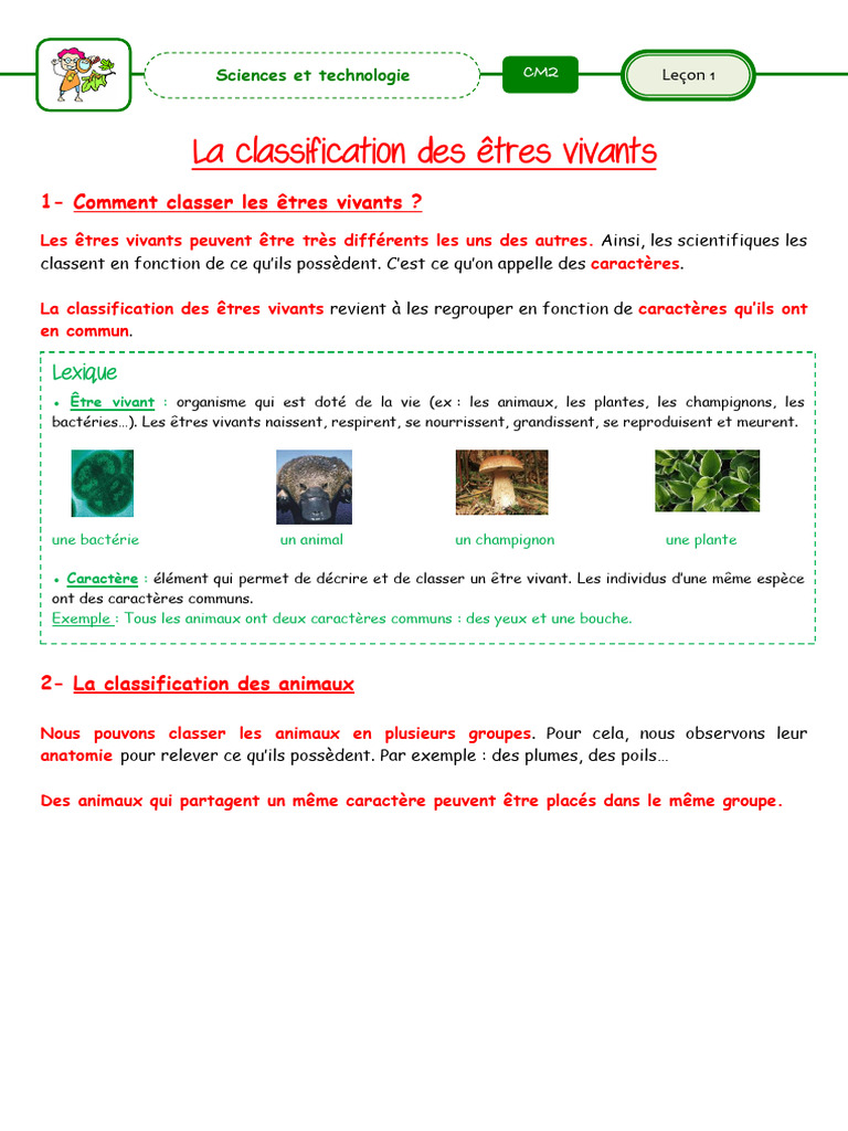 Classification des êtres vivants CM2 | PDF | Squelette | Vertébrés