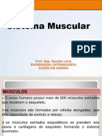 Sistema Muscular 1