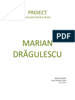 PROIECT Dragulescu