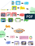 Mapa Del Proceso Administrativo