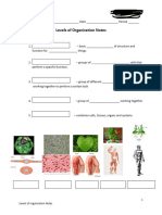 Levels of Organization Power Point and Activity