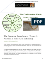 The Common Roundworm (Ascaris), Anemia & Folic Acid Deficiency - The Blog of Leonard Carter