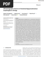 ASIA Spinal Cord Injury Classification | PDF | Anatomical Terms Of ...