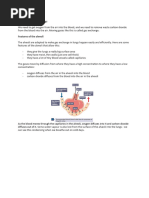 Alveoli Adaptations for Gas Exchange | PDF | Lung | Capillary