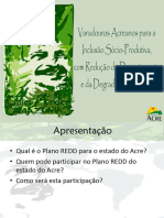 Projeto PSA Carbono Acre