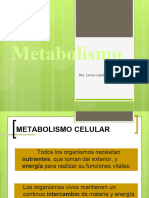 Metabolismo