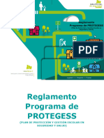 Reglamento Del Programa PROTEGESS - V2