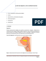 Tema 12-13. Patología Del Tubo Digestivo y de La Motilidad Intestinal