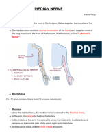 Median Nerve