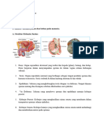 biologi Nama _ I Kadek Jodi Martha