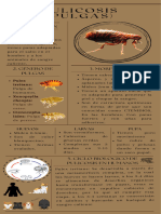 Infografía de Parasitología