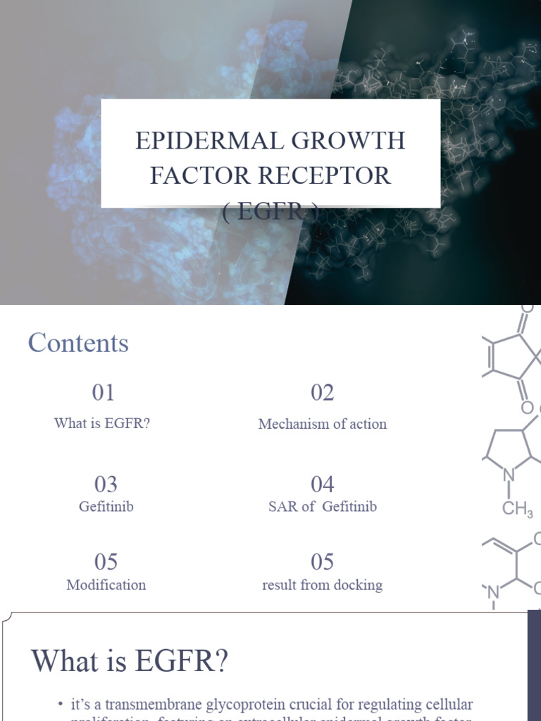 Understanding EGFR and Gefitinib Mechanisms | PDF | Epidermal Growth ...
