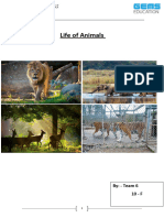 Life of Animals in Zoo - 2020 - 91064
