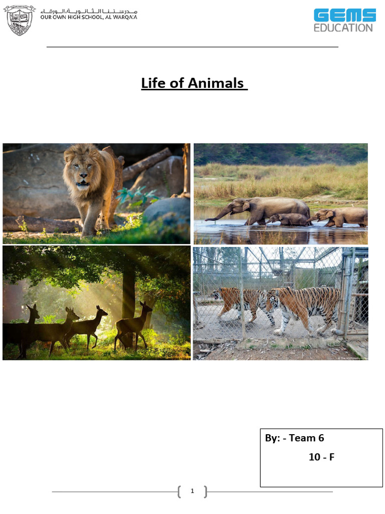 Zoo vs Sanctuary: Animal Welfare | PDF | Zoo | Conservation Biology