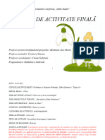 Proiect activitate finală (DEC)_MODELAJ