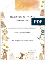 Proiect Didactic DOS Activitate Practică