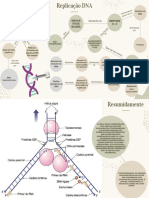 Replicacao DNA