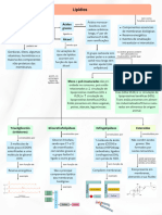 Mapa Lipidios