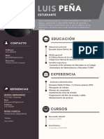 Curriculum CV Marketing Profesional Gris Oscuro  