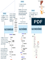 Mapa Mental Quebra e Sintese de Glic