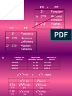 6-ejercicios-genetica-del-sexo