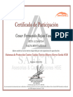 Certificado Participacion