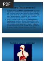 Sistema Gastrointestinal
